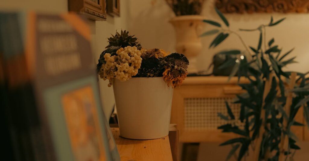 pexels photo 18333230 18333230 A cozy rustic room featuring a flower pot, mirrors, and interior plants creating a warm atmosphere.